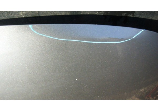 Капот Renault Scenic III, 651000036R